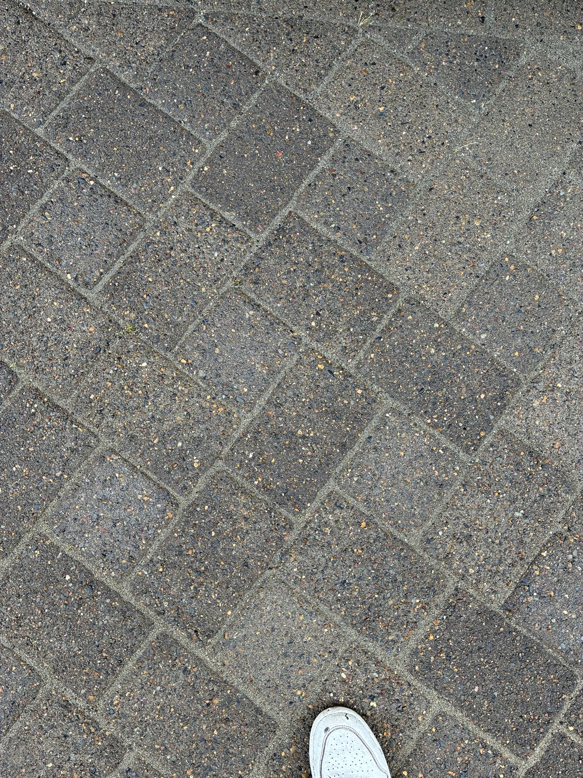 Paver surface after pressure washing