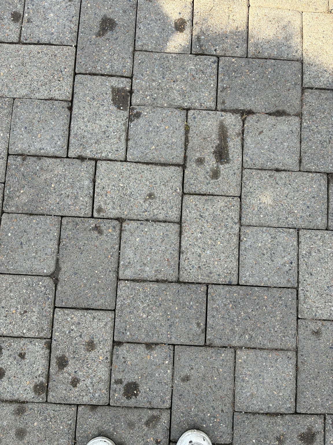 Paver surface before pressure washing